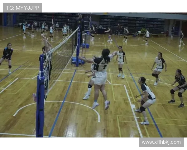 成都排球队的节奏与魅力探秘：排球运动的热情与团队精神