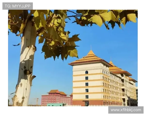 深圳羽毛球队的崛起之路:从默默无闻到奥运舞台的辉煌历程 深圳羽毛球队的崛起之路:从默默无闻到奥运舞台的辉煌历程