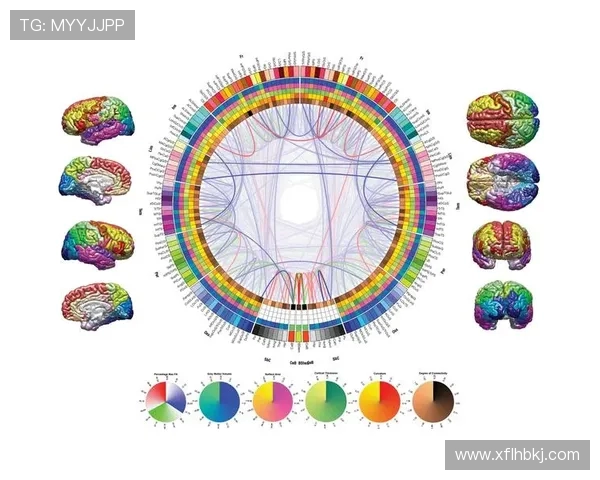 深度对话：杨强的排球人生