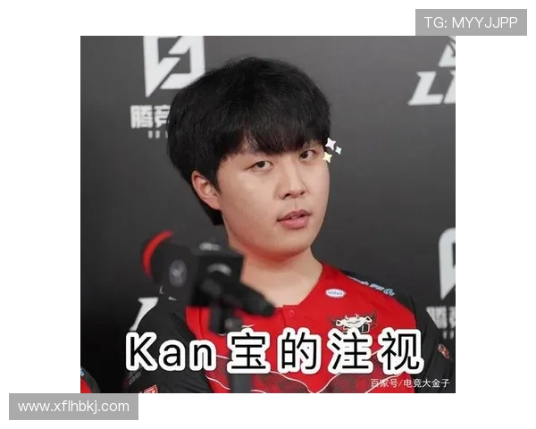 精英赛特别报道：JDG逆袭之路的背后故事与精彩瞬间