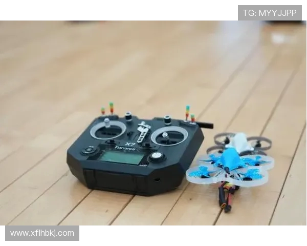 杭州极限运动队攻防新策略探索与实践分析